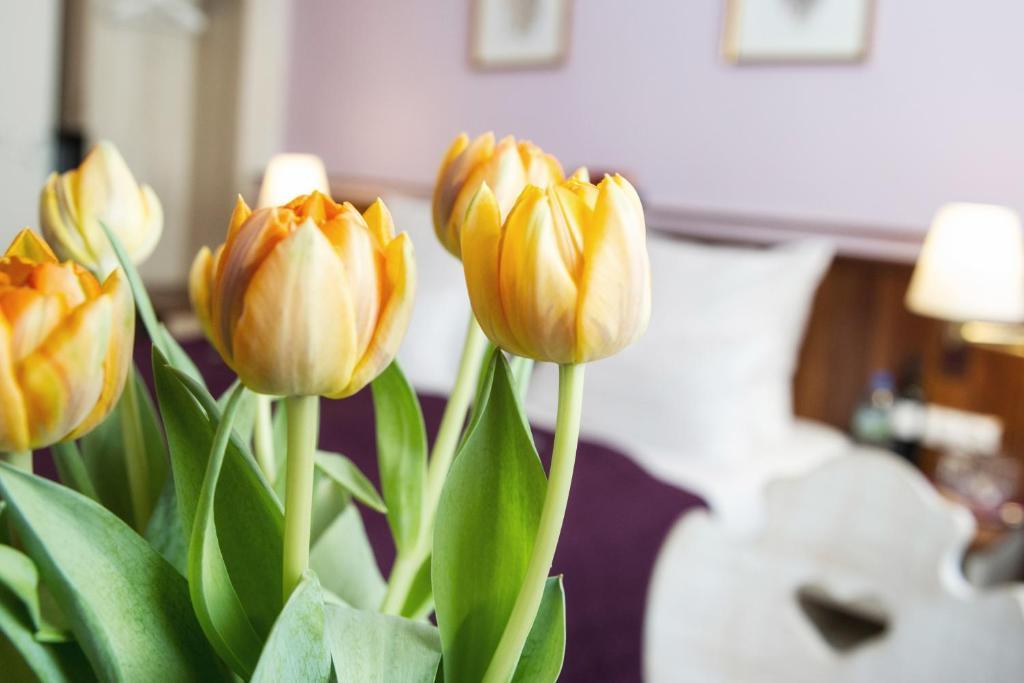 Hotel Elch Nuremberg Extérieur photo